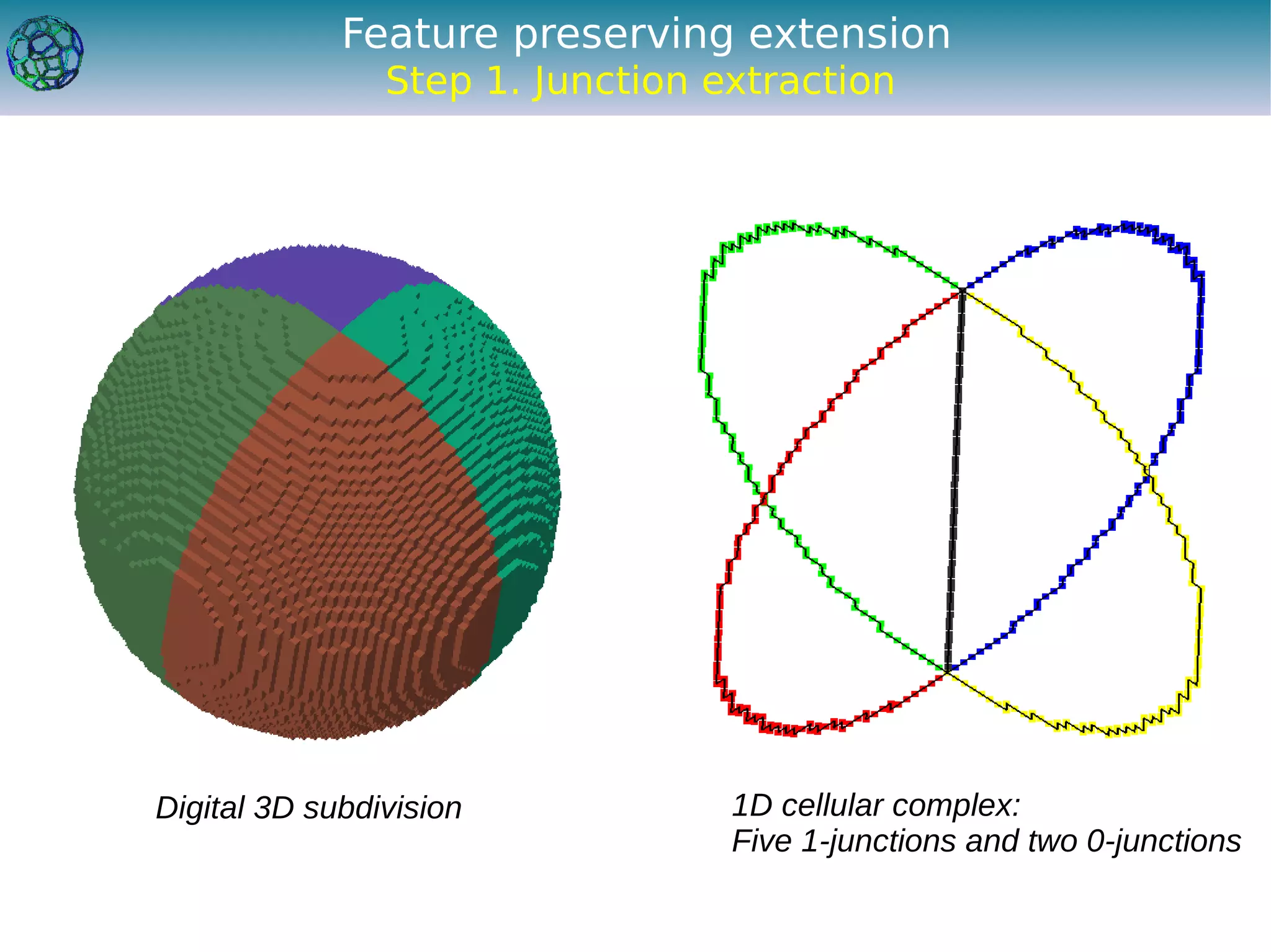 Feature preserving extension
                Step 1. Junction extraction




Digital 3D subdivision            1D cellular complex:
                                  Five 1-junctions and two 0-junctions
 