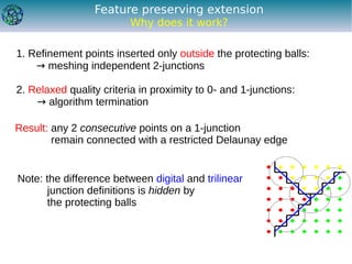 Feature preserving Delaunay mesh generation from 3D multi-material ...