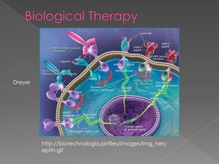 Biological TherapyDreyerhttp://biotechnologia.pl/files/images/img_herceptin.gif
