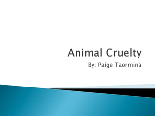 Animal Cruelty By: Paige Taormina 