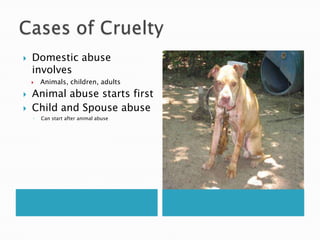 Cases of CrueltyDomestic abuse involves