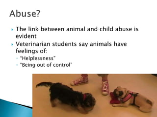 Animals, children, adultsAnimal abuse starts firstChild and Spouse abuseCan start after animal abuse