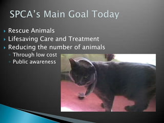 PSPCA TodayMore than 300 schools have parts of the curriculum about animal abuseVeterinarians handle over 30,000 cases each yearAll cats and dogs are to be spayed or neutered before becoming adopted