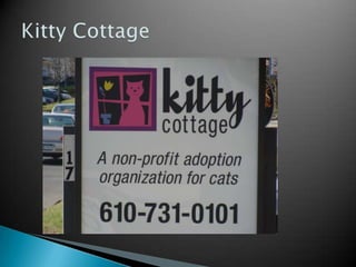 SPCA’s Main Goal Today Rescue Animals Lifesaving Care and TreatmentReducing the number of animalsThrough low cost Public awareness 