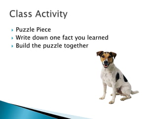 Works Cited Continue