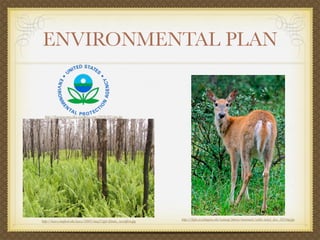 ENVIRONMENTAL PLAN


  http://bayareacomre.ﬁles.wordpress.com/2010/02/epa.jpg




http://news.stanford.edu/news/2007/may2/gifs/plants_swordfern.jpg   http://depts.washington.edu/natmap/photos/mammals/white-tailed_deer_5924np.jpg
 