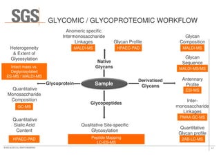 Native
Glycans
MALDI-MS
Anomeric specific
Intermonosaccharide
Linkages Glycan Profile
HPAEC-PAD
Intact mass vs.
Deglycosylated
ES-MS / MALDI-MS
Heterogeneity
& Extent of
Glycosylation
Derivatised
Glycan
Composition
Glycan
Sequence
MALDI-MS
MALDI-MS/MS
Antennary
GLYCOMIC / GLYCOPROTEOMIC WORKFLOW
17© SGS SA 2015 ALL RIGHTS RESERVED
SampleGlycoprotein
ES-MS / MALDI-MS
Quantitative
Monosaccharide
Composition
GC-MS
HPAEC-PAD
Quantitative
Sialic Acid
Content
Derivatised
Glycans
PMAA GC-MS
Inter-
monosaccharide
Linkages
Antennary
Profile
ESI-MS
2AB-LC-MS
Quantitative
Glycan profile
Glycopeptides
Qualitative Site-specific
Glycosylation
Peptide Mapping
LC-ES-MS
 