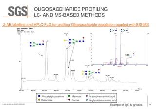 TIC chromatogram
Annotations based on MS data
OLIGOSACCHARIDE PROFILING
LC- AND MS-BASED METHODS
2-AB labelling and HPLC-FLD for profiling Oligosaccharide population coupled with ESI-MS
19© SGS SA 2015 ALL RIGHTS RESERVED
Annotations based on MS data
Example of IgG N-glycans
N-acetylglucosamine
Galactose
Mannose
Fucose
N-acetylneuraminic acid
N-glycolylneuraminic acid
 