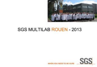 SGS MULTILAB ROUEN - 2013

 