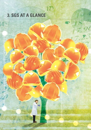 10
3. SGS AT A GLANCE
 