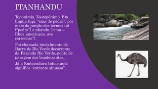 ITANHANDU
Toponímia. Zootopônimo. Em
língua tupi, "ema de pedra", por
meio da junção dos termos itá
("pedra") e nhandu ("ema –
Rhea americana, ave
corredora").
Foi chamada inicialmente de
Barra do Rio Verde decorrente
da Fazenda Rio Verde, ponto de
paragem dos bandeirantes.
Já a Embocadura Inhacundá
significa “corrente sinuosa”.
 