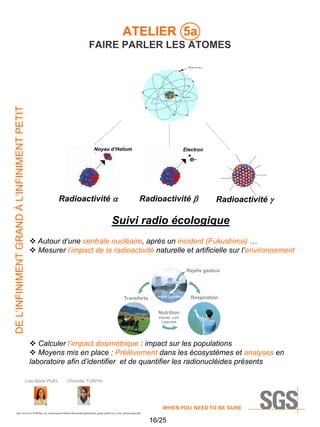 ATELIER 5a

DE L’INFINIMENT GRAND À L’INFINIMENT PETIT

FAIRE PARLER LES ATOMES

Noyau d’Helium

Radioactivité a

Electron

Radioactivité b

Radioactivité g

Suivi radio écologique
 Autour d’une centrale nucléaire, après un incident (Fukushima) …
 Mesurer l’impact de la radioactivité naturelle et artificielle sur l’environnement
Rejets gazeux

Respiration

Transferts
Nutrition
Viande, Lait,
Légumes

 Calculer l’impact dosimétrique : impact sur les populations
 Moyens mis en place : Prélèvement dans les écosystèmes et analyses en
laboratoire afin d’identifier et de quantifier les radionucléides présents
Lise-Marie PUEL

Charlotte TURPIN

http://www.irsn.fr/FR/base_de_connaissances/librairie/Documents/publications_grand_public/irsn_livret_radioecologie.pdf

16/25

 