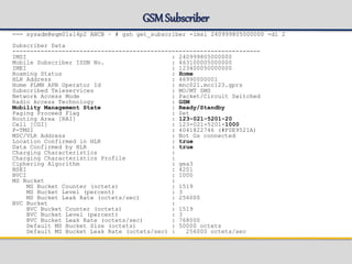 GSMSubscriber
=== sysadm@eqm01s14p2 ANCB ~ # gsh get_subscriber -imsi 240999805000000 -dl 2
Subscriber Data
----------------------------------------------------------------------
IMSI : 240999805000000
Mobile Subscriber ISDN No. : 463100005000000
IMEI : 123400050000000
Roaming Status : Home
HLR Address : 46990000001
Home PLMN APN Operator Id : mnc021.mcc123.gprs
Subscribed Teleservices : MO/MT SMS
Network Access Mode : Packet/Circuit Switched
Radio Access Technology : GSM
Mobility Management State : Ready/Standby
Paging Proceed Flag : Set
Routing Area [RAI] : 123-021-5201-20
Cell [CGI] : 123-021-5201-1000
P-TMSI : 4041822746 (#F0E9521A)
MSC/VLR Address : Not Gs connected
Location Confirmed in HLR : true
Data Confirmed by HLR : true
Charging Characteristics :
Charging Characteristics Profile :
Ciphering Algorithm : gea3
NSEI : 4201
BVCI : 1000
MS Bucket :
MS Bucket Counter (octets) : 1519
MS Bucket Level (percent) : 3
MS Bucket Leak Rate (octets/sec) : 256000
BVC Bucket :
BVC Bucket Counter (octets) : 1519
BVC Bucket Level (percent) : 3
BVC Bucket Leak Rate (octets/sec) : 768000
Default MS Bucket Size (octets) : 50000 octets
Default MS Bucket Leak Rate (octets/sec) : 256000 octets/sec
 