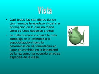 Casi todos los mamíferos tienen ojos, aunque la agudeza visual y la percepción de lo que las rodea, varía de unas especies a otras. La vista humana es quizá la más compleja en lo referente a la especialización hacia la determinación de tonalidades en lugar de cambios en la intensidad de la luz como ha ocurrido en otras especies de la clase. Vista 