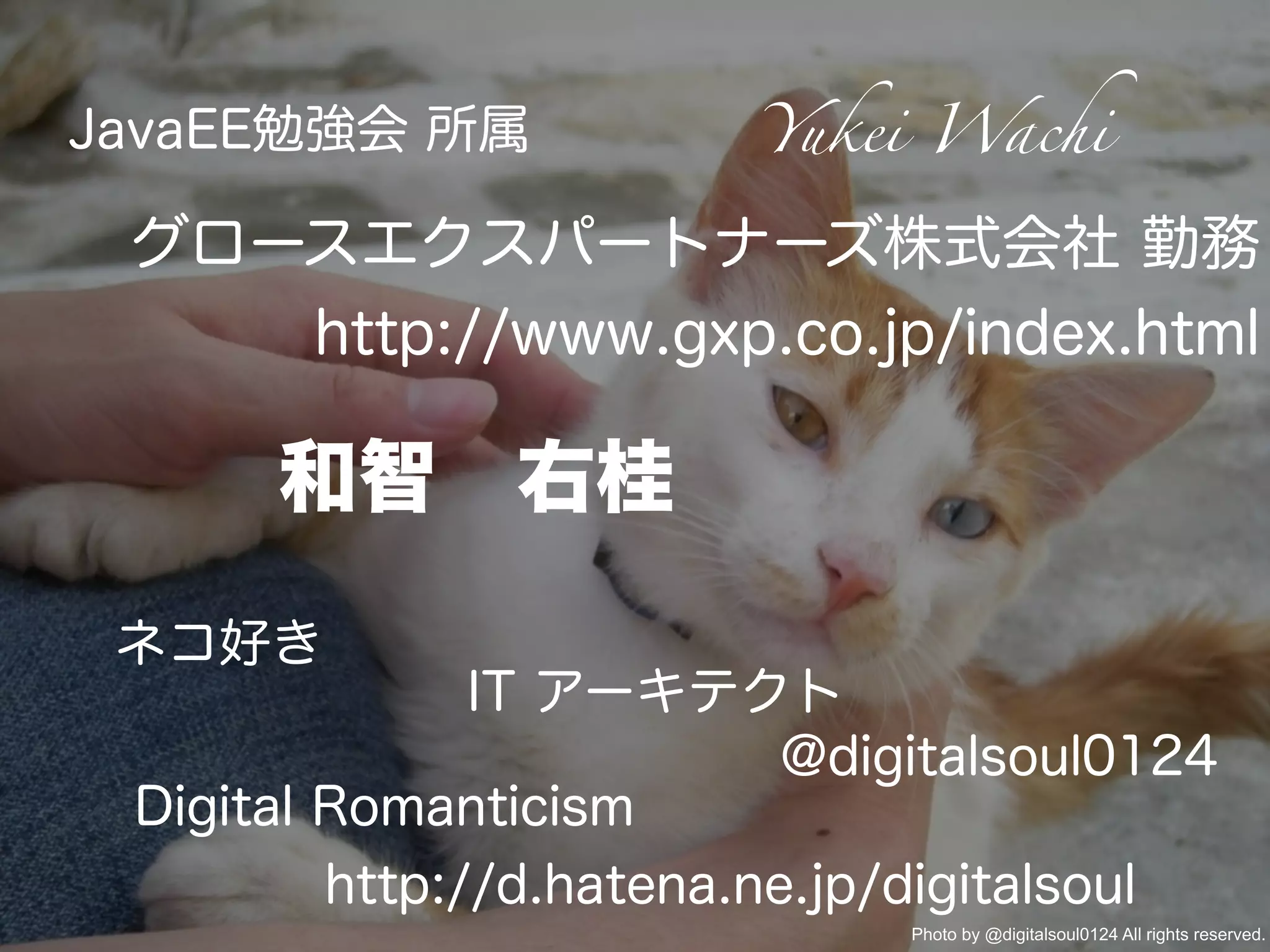 JavaEE勉強会 所属             Yukei Wachi

 グロースエクスパートナーズ株式会社 勤務
    http://www.gxp.co.jp/index.html

      和智 右桂
 ネコ好き
               IT アーキテクト
                           @digitalsoul0124
 Digital Romanticism
         http://d.hatena.ne.jp/digitalsoul
                               Photo by @digitalsoul0124 All rights reserved.
 