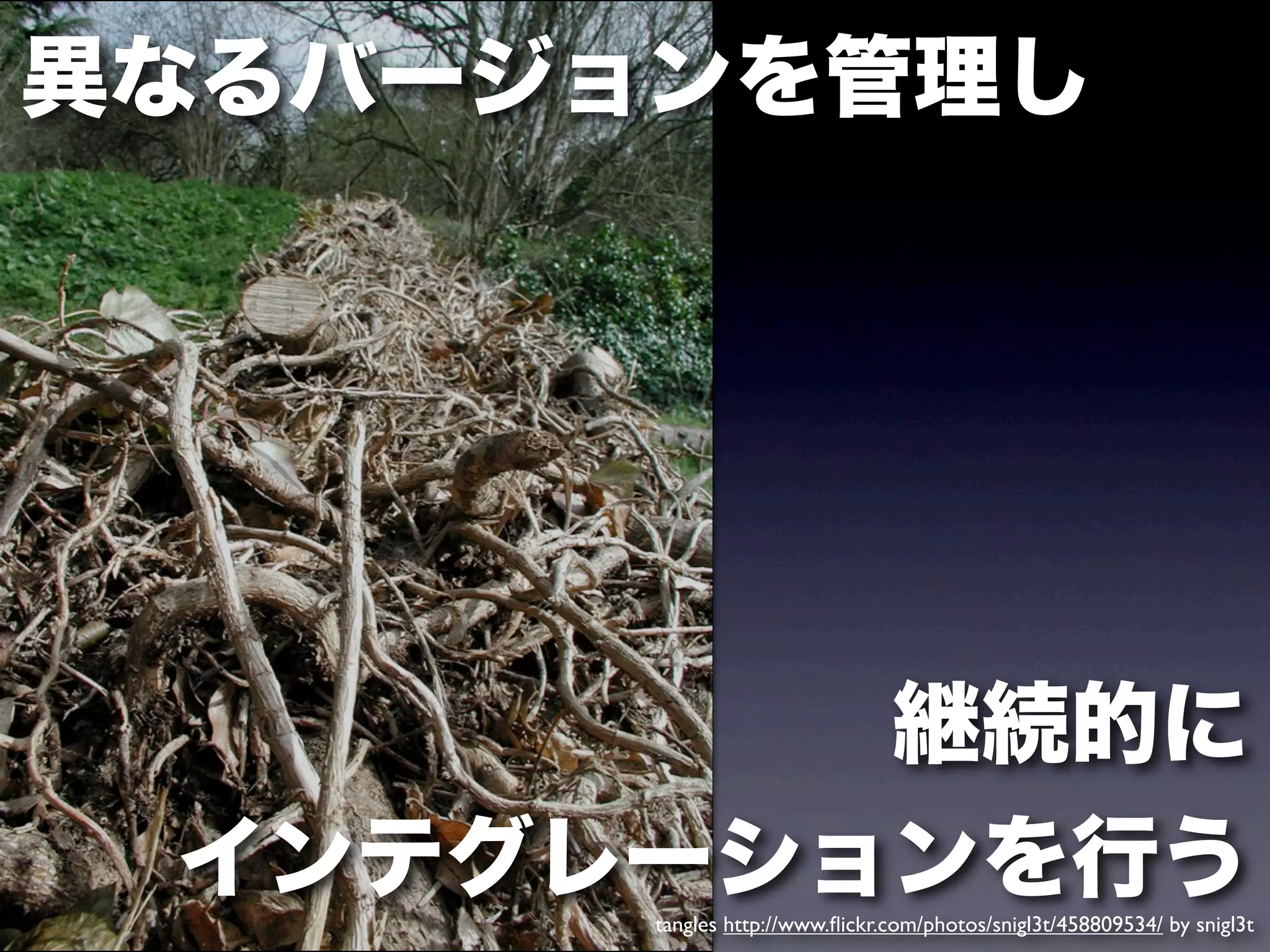 異なるバージョンを管理し




         継続的に
 インテグレーションを行う
       tangles http://www.ﬂickr.com/photos/snigl3t/458809534/ by snigl3t
 