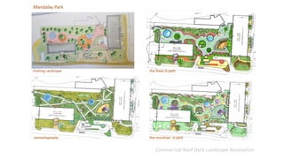 Commercial Roof Deck Landscape Renovation
 