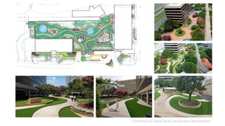 Commercial Roof Deck Landscape Renovation
 