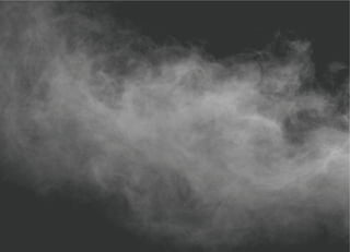 Sguardi dalla nebbia   catalogo