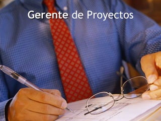 Gerente  de Proyectos 