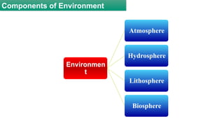 RADIOACTIVITY AND ENVIRONMENT-Environment and Pollution | PPTX
