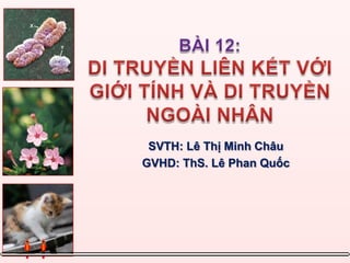 BÀI 12: DI TRUYỀN LIÊN KẾT VỚI GIỚI TÍNH VÀ DI TRUYỀN NGOÀI NHÂN SVTH: Lê Thị Minh Châu GVHD: ThS. Lê Phan Quốc 
