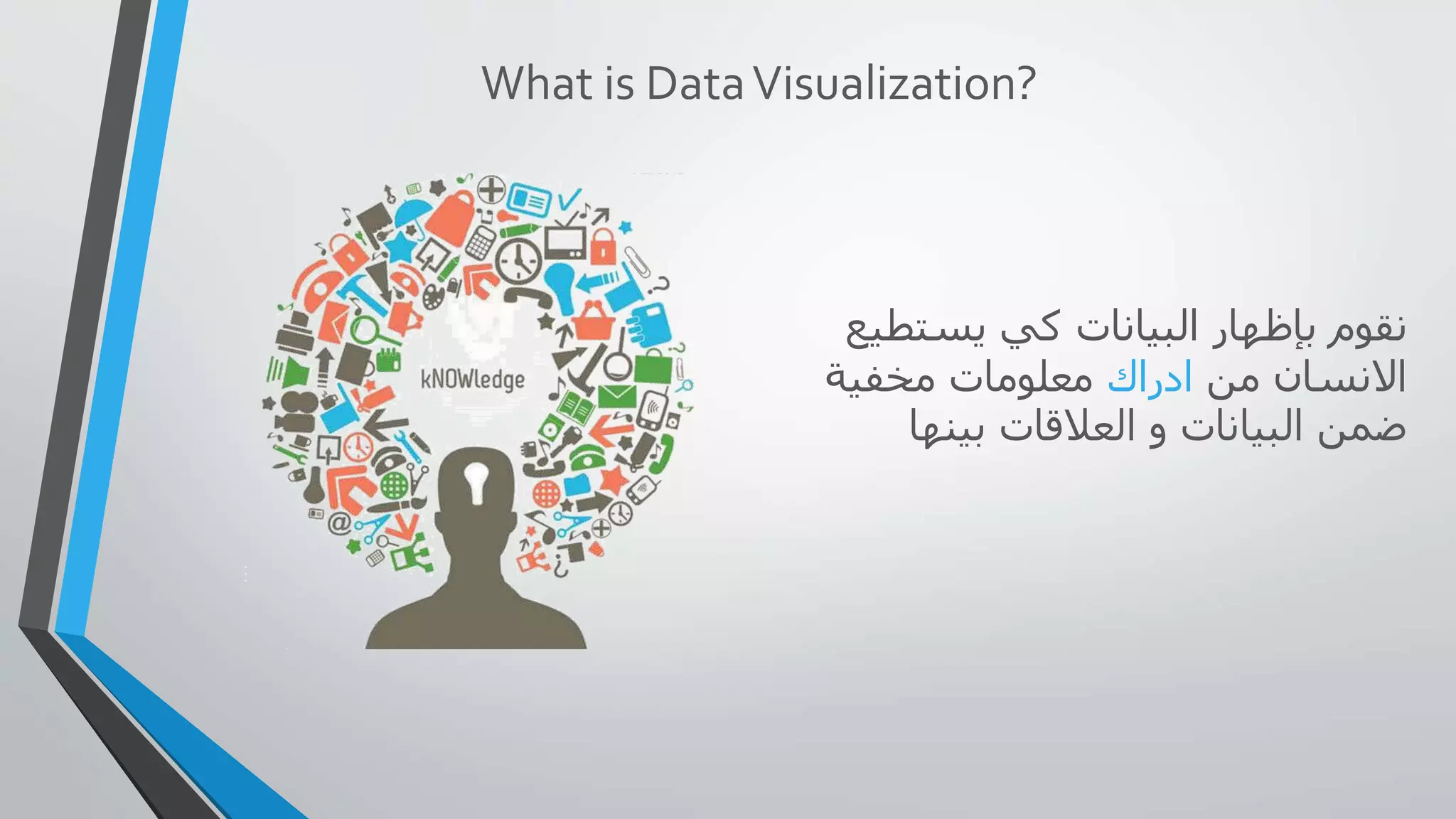 Data Visualization - Hani Mounla(Arabic) | PPTX