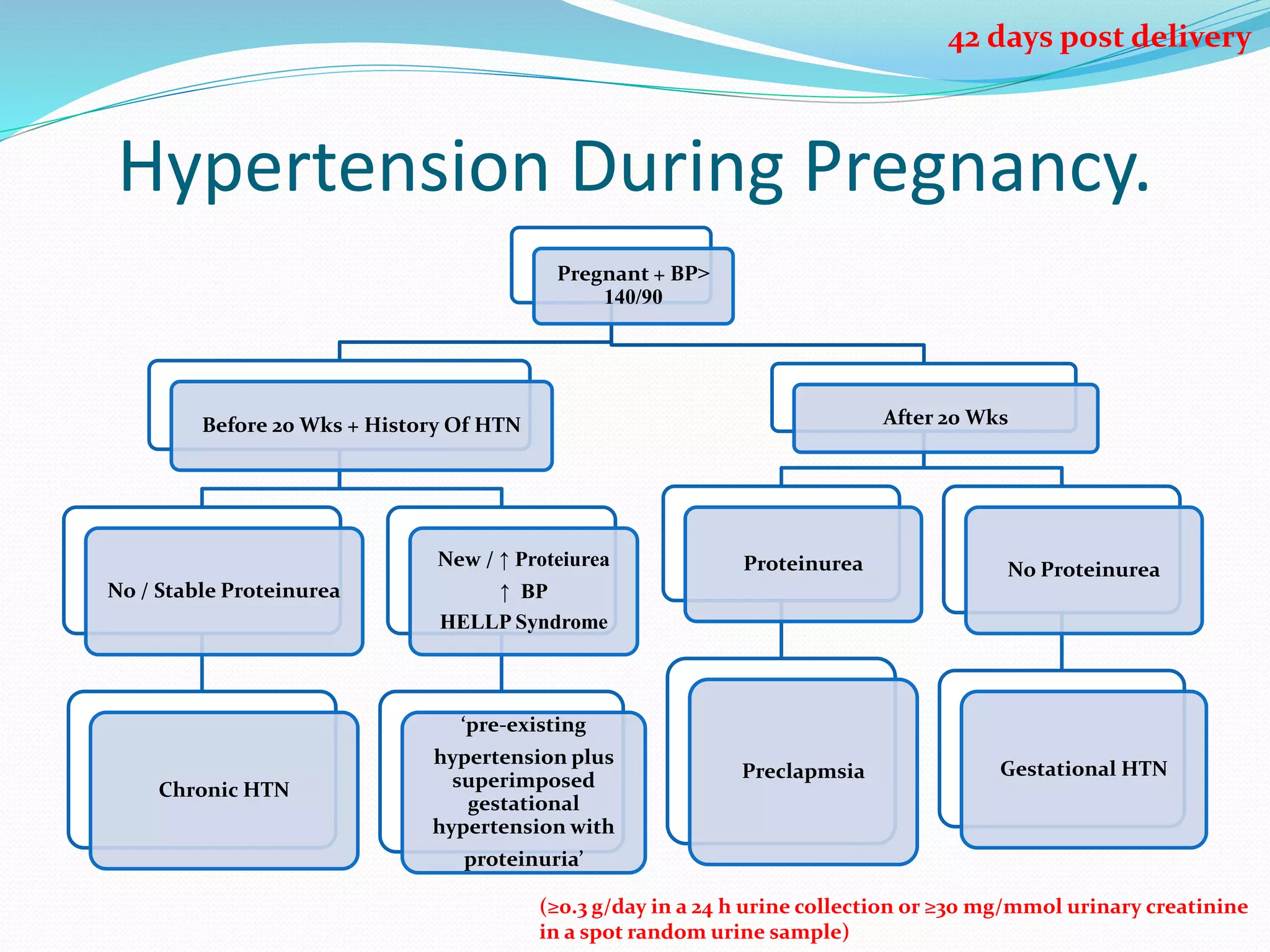 ESC guidelines on Cardiovascular diseases during pregnancy | PPTX