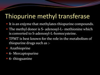 Thiopurine methyl transferase
 It is an enjyme that methylates thiopurine compounds.
 The methyl donor is S- adenosyl-L- methionine which
    is converted to S-adenosyl-L-homocysteine.
   TPMT is best known for the role in the metabolism of
    thiopurine drugs such as :-
    Azathioprine
   6- Mercaptopurine
   6- thioguanine
 