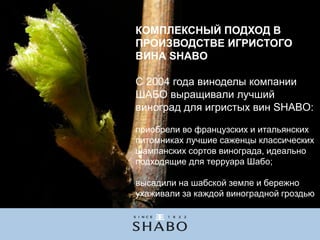 Shabo presentation sparkling
