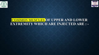 COMMON MUSCLES OF UPPER AND LOWER
EXTREMITY WHICH ARE INJECTED ARE : -
 