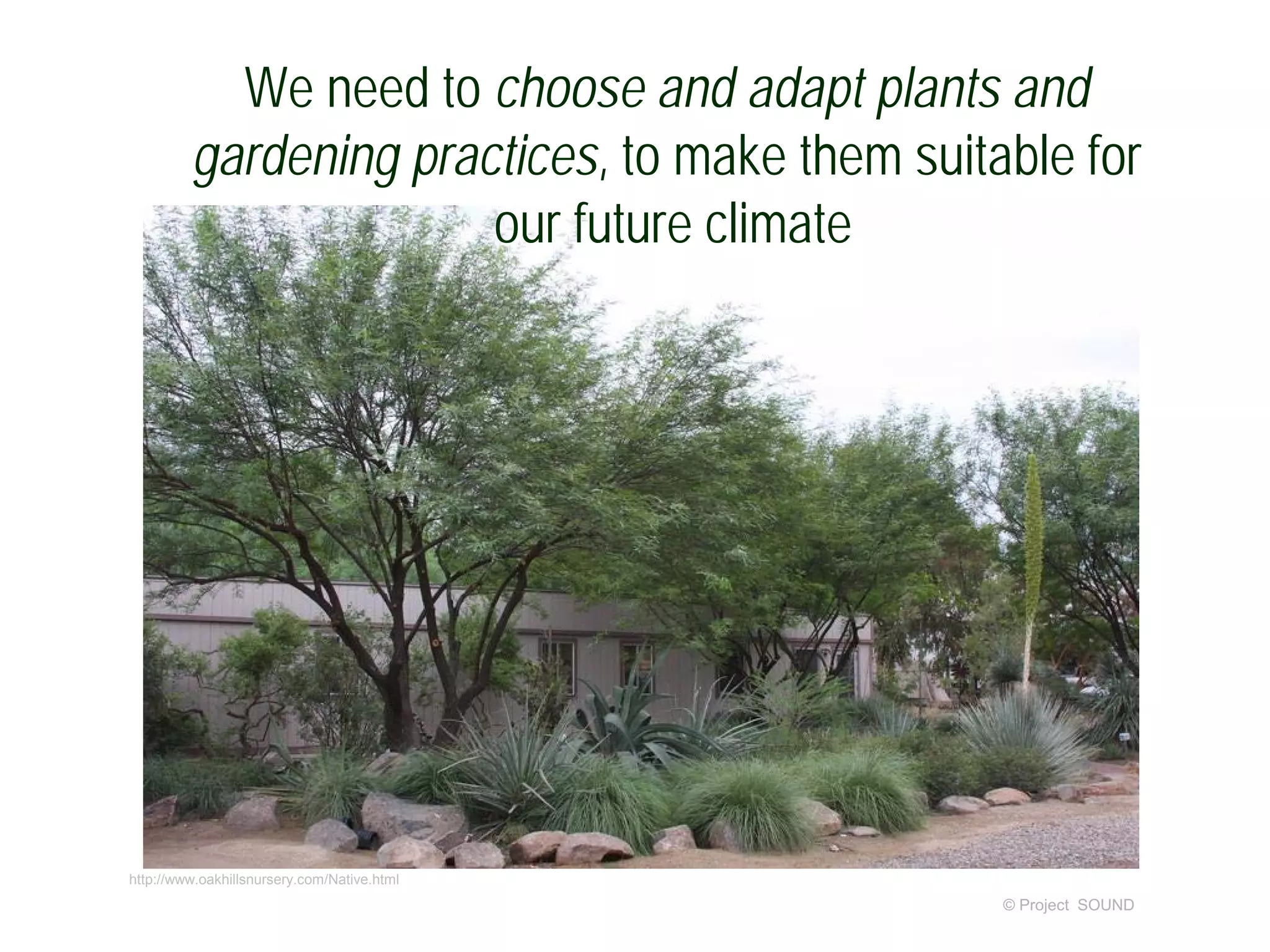 © Project SOUND
http://www.oakhillsnursery.com/Native.html
We need to choose and adapt plants and
gardening practices, to make them suitable for
our future climate
 