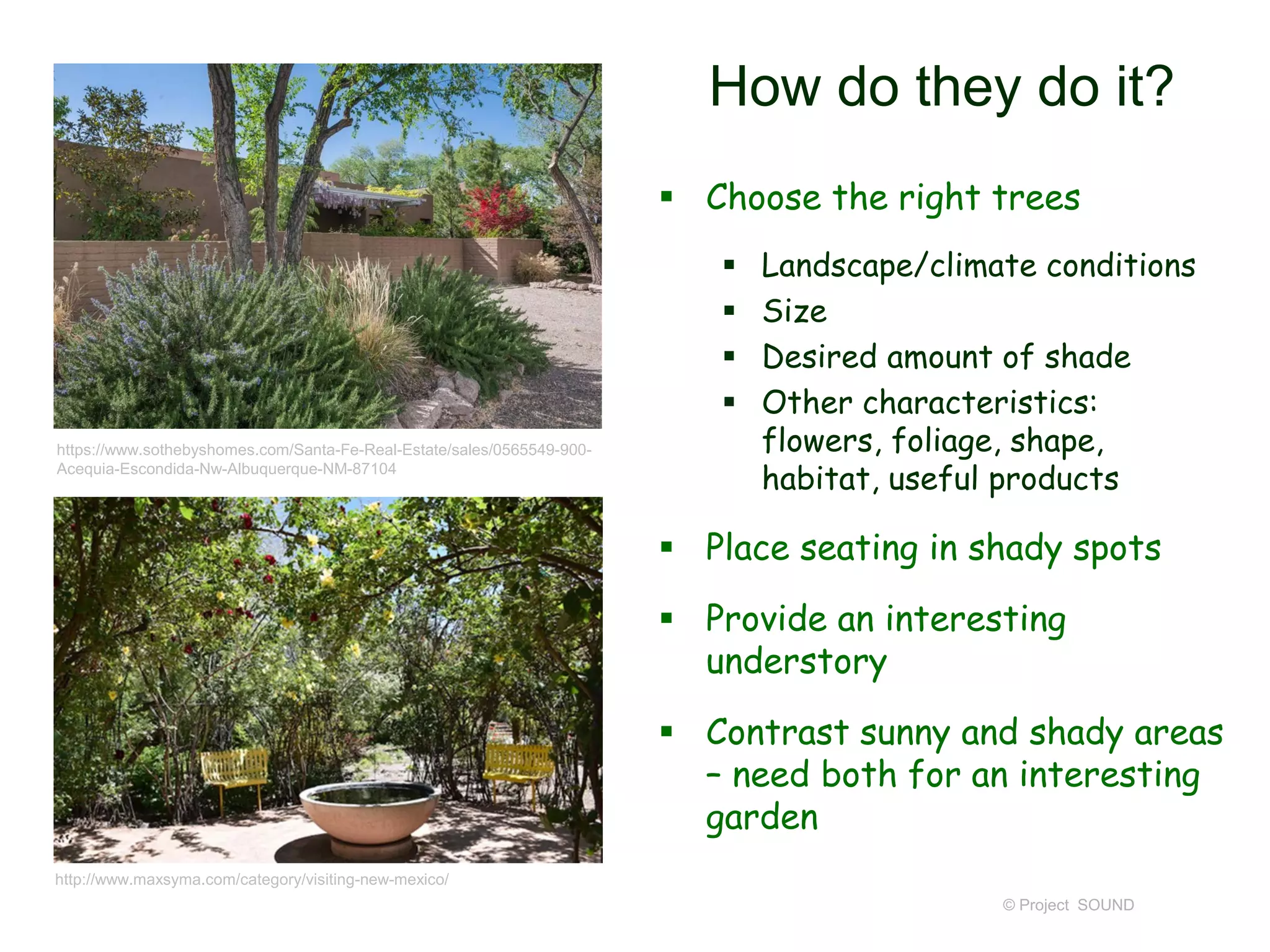 How do they do it?
 Choose the right trees
 Landscape/climate conditions
 Size
 Desired amount of shade
 Other characteristics:
flowers, foliage, shape,
habitat, useful products
 Place seating in shady spots
 Provide an interesting
understory
 Contrast sunny and shady areas
– need both for an interesting
garden
© Project SOUND
http://www.maxsyma.com/category/visiting-new-mexico/
https://www.sothebyshomes.com/Santa-Fe-Real-Estate/sales/0565549-900-
Acequia-Escondida-Nw-Albuquerque-NM-87104
 