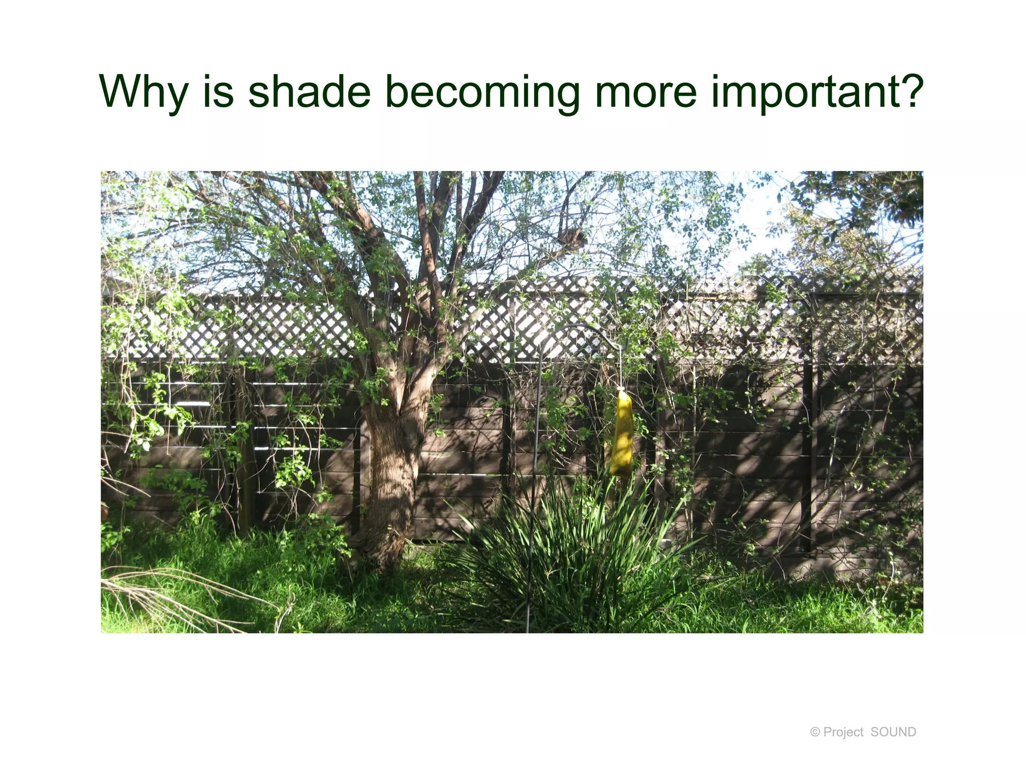 Why is shade becoming more important?
© Project SOUND
 