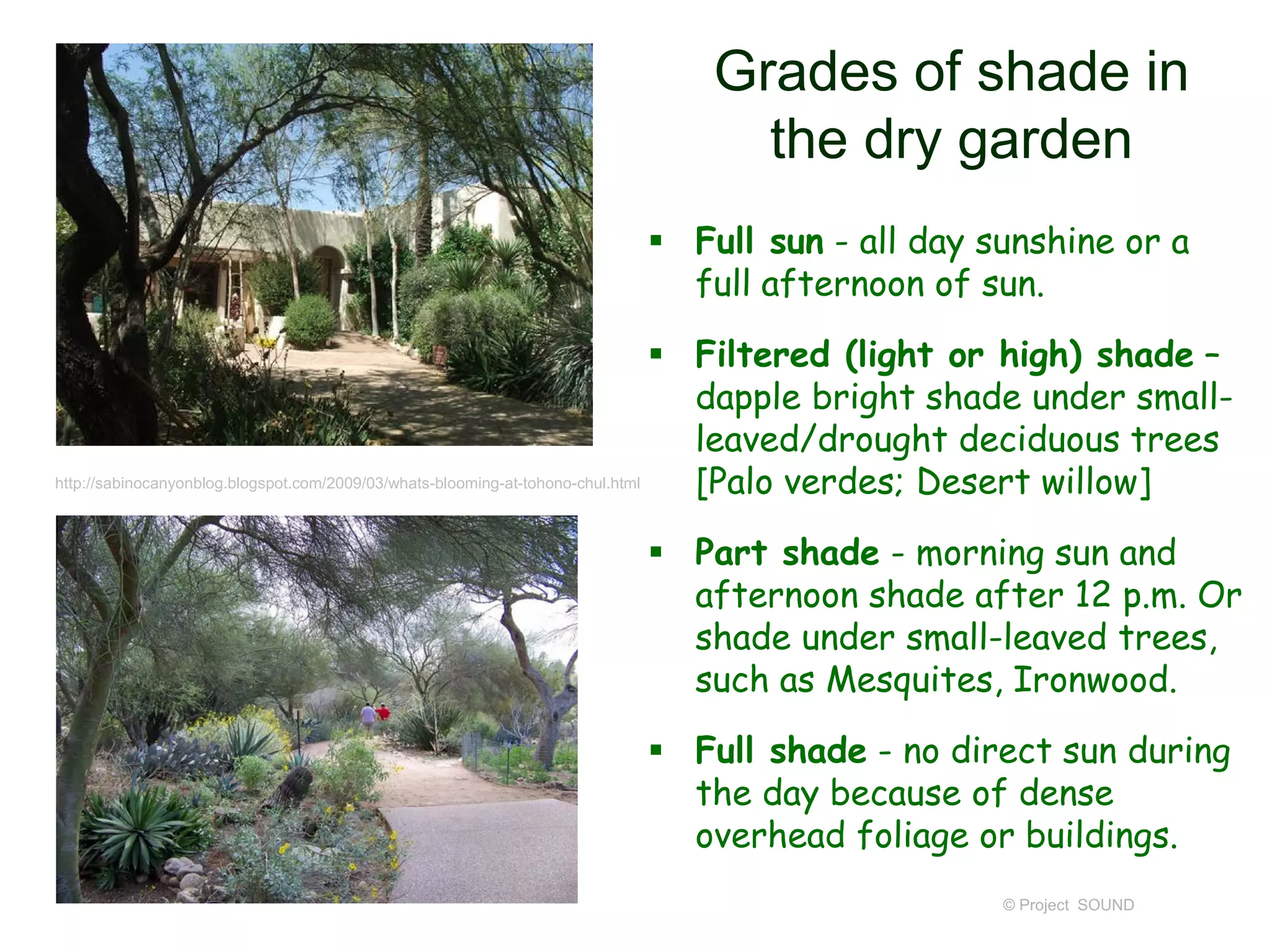Grades of shade in
the dry garden
 Full sun - all day sunshine or a
full afternoon of sun.
 Filtered (light or high) shade –
dapple bright shade under small-
leaved/drought deciduous trees
[Palo verdes; Desert willow]
 Part shade - morning sun and
afternoon shade after 12 p.m. Or
shade under small-leaved trees,
such as Mesquites, Ironwood.
 Full shade - no direct sun during
the day because of dense
overhead foliage or buildings.
© Project SOUND
http://sabinocanyonblog.blogspot.com/2009/03/whats-blooming-at-tohono-chul.html
 