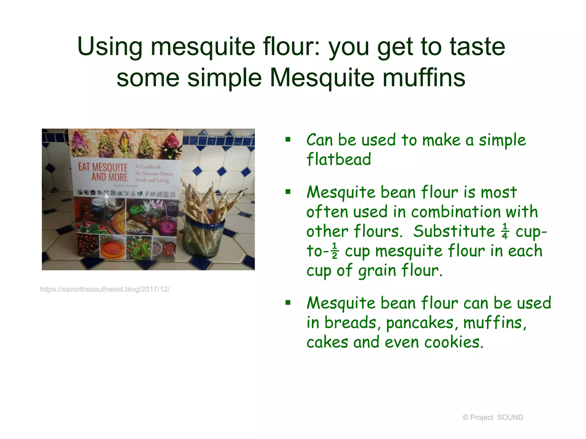 Using mesquite flour: you get to taste
some simple Mesquite muffins
 Can be used to make a simple
flatbead
 Mesquite bean flour is most
often used in combination with
other flours. Substitute ¼ cup-
to-½ cup mesquite flour in each
cup of grain flour.
 Mesquite bean flour can be used
in breads, pancakes, muffins,
cakes and even cookies.
© Project SOUND
https://savorthesouthwest.blog/2017/12/
 
