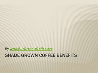 SHADE GROWN COFFEE BENEFITS
By www.BurOrganicCoffee.org
 