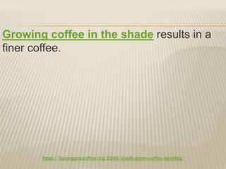 https://buyorganiccoffee.org/2240/shade-grown-coffee-benefits/
Growing coffee in the shade results in a
finer coffee.
 