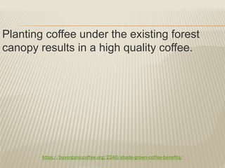 https://buyorganiccoffee.org/2240/shade-grown-coffee-benefits/
Planting coffee under the existing forest
canopy results in a high quality coffee.
 
