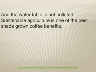 https://buyorganiccoffee.org/2240/shade-grown-coffee-benefits/
And the water table is not polluted.
Sustainable agriculture is one of the best
shade grown coffee benefits.
 