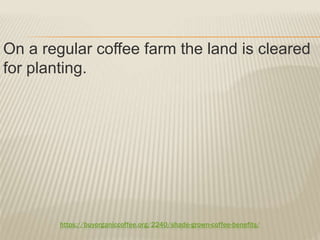 https://buyorganiccoffee.org/2240/shade-grown-coffee-benefits/
On a regular coffee farm the land is cleared
for planting.
 