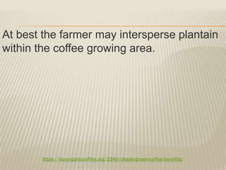 https://buyorganiccoffee.org/2240/shade-grown-coffee-benefits/
At best the farmer may intersperse plantain
within the coffee growing area.
 