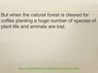 https://buyorganiccoffee.org/2240/shade-grown-coffee-benefits/
But when the natural forest is cleared for
coffee planting a huge number of species of
plant life and animals are lost.
 