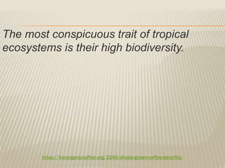 https://buyorganiccoffee.org/2240/shade-grown-coffee-benefits/
The most conspicuous trait of tropical
ecosystems is their high biodiversity.
 