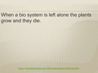 https://buyorganiccoffee.org/2240/shade-grown-coffee-benefits/
When a bio system is left alone the plants
grow and they die.
 