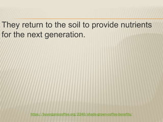 https://buyorganiccoffee.org/2240/shade-grown-coffee-benefits/
They return to the soil to provide nutrients
for the next generation.
 
