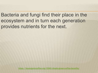 https://buyorganiccoffee.org/2240/shade-grown-coffee-benefits/
Bacteria and fungi find their place in the
ecosystem and in turn each generation
provides nutrients for the next.
 