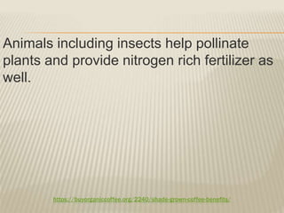 https://buyorganiccoffee.org/2240/shade-grown-coffee-benefits/
Animals including insects help pollinate
plants and provide nitrogen rich fertilizer as
well.
 