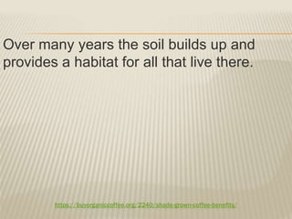 https://buyorganiccoffee.org/2240/shade-grown-coffee-benefits/
Over many years the soil builds up and
provides a habitat for all that live there.
 