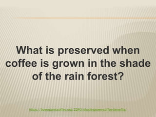 https://buyorganiccoffee.org/2240/shade-grown-coffee-benefits/
What is preserved when
coffee is grown in the shade
of the rain forest?
 